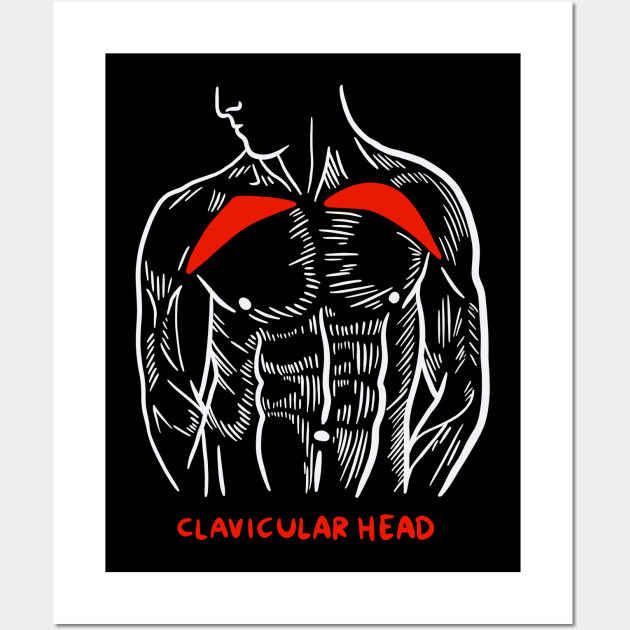 Gym Trainer Muscles Anatomy Clavicular Head Wall Art by isstgeschichte